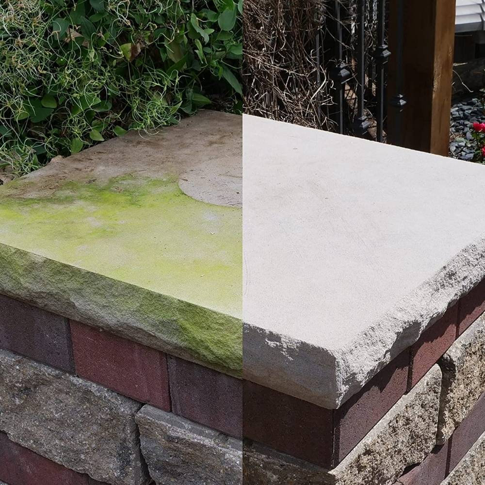 Mold Stain Remover